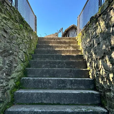 Casa Daniel Pedorido