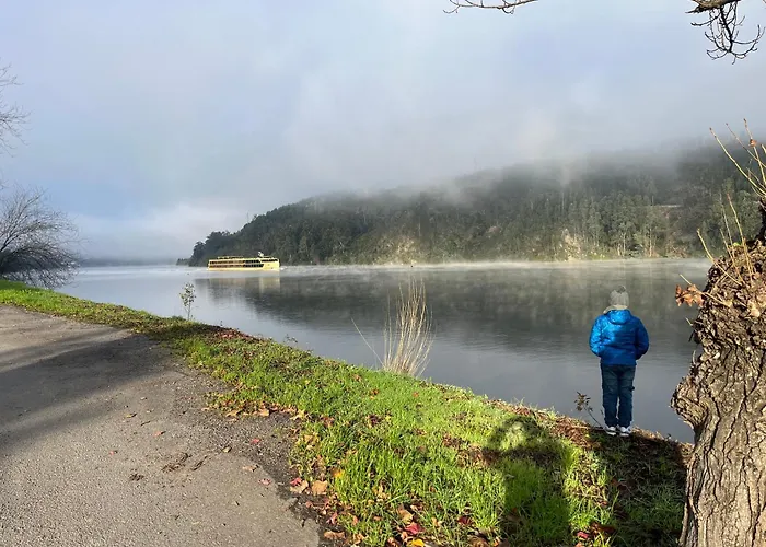 Casa Daniel * Pedorido