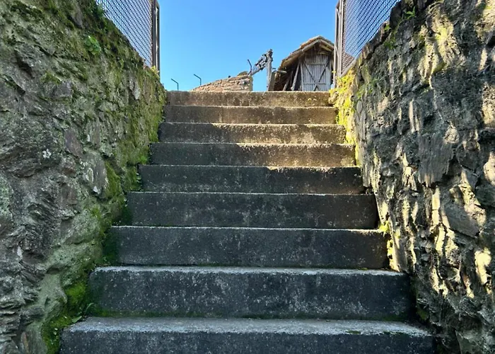 Casa Daniel Pedorido